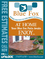 Image Graphic & Design Portfolio Ad - Blue Fox