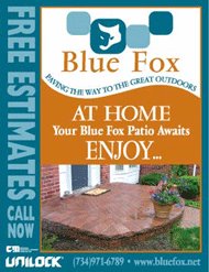 Image Graphic & Design Portfolio Ad - Blue Fox